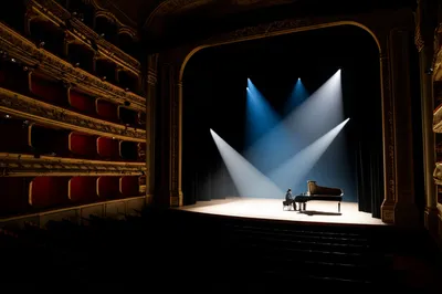 Illustration reduction - Image 1