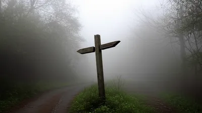 Illustration equivocal - Image 1