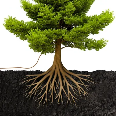 Illustration earthed - Image 1