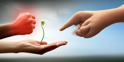 Illustration sheathes - Image 1