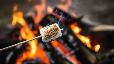 Illustration singeing - Image 1