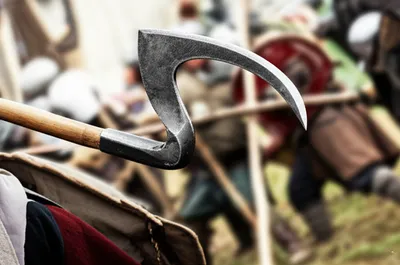 Illustration fluke - Image 1