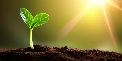 Illustration into - Image 1