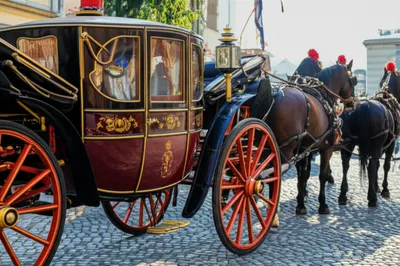 Illustration livery - Image 1