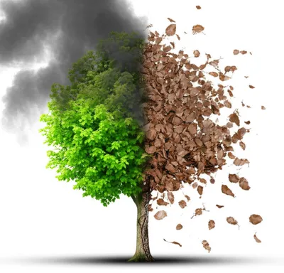 Illustration insult - Image 1