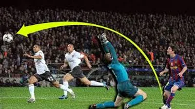 Illustration lob - Image 2