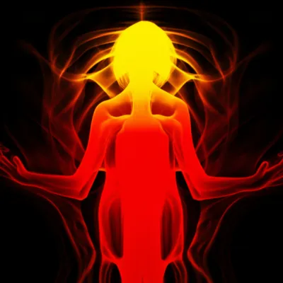 Illustration cock - Image 1