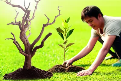 Illustration retrieving - Image 1