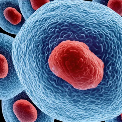 Illustration cellular - Image 1