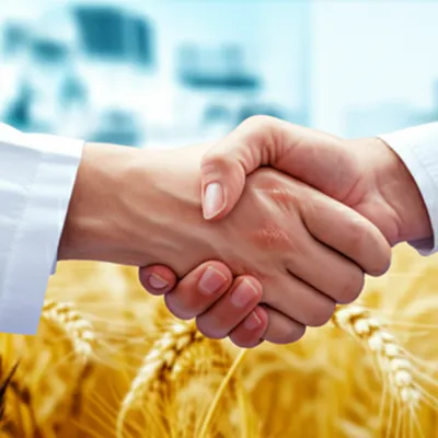 Illustration pact - Image 1