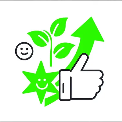 Illustration pluses - Image 1