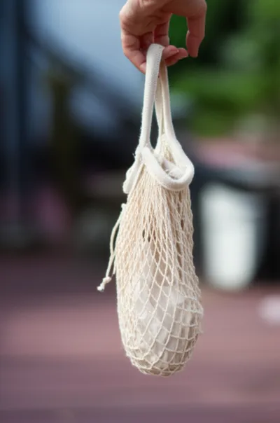 Illustration reticule - Image 1