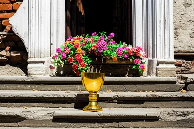 Illustration hallow - Image 1