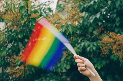 Illustration whiffle - Image 1