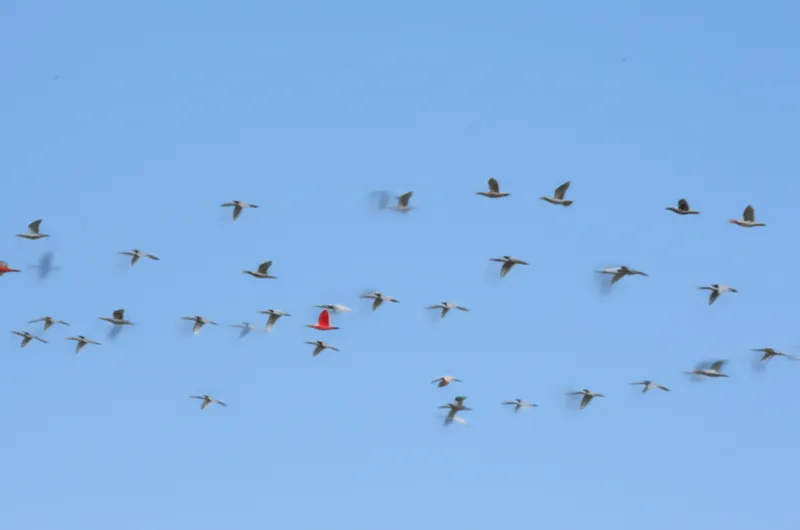 Illustration visuelle du mot « unusual » - Anomalie, bizarrerie