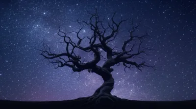 Hình ảnh minh họa ay - Ảnh 1