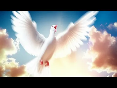 Illustration dove - Image 1