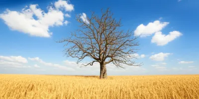 Illustration surrounding - Image 1