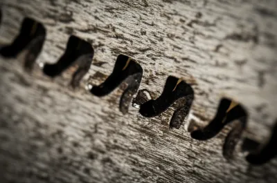 Illustration gums - Image 1