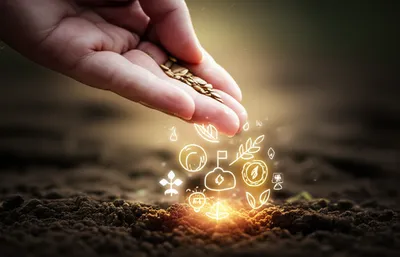 Illustration planting - Image 1