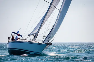 Illustration hauls - Image 1