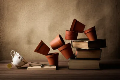 Illustration devices - Image 1