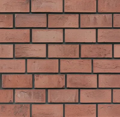 Illustration bond - Image 1