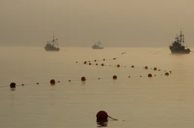 Illustration shots - Image 1