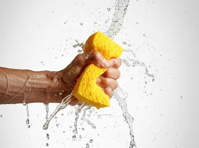 Illustration wringing - Image 1