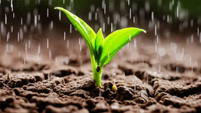 Illustration sprang - Image 1