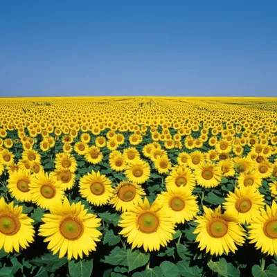 Illustration marching - Image 1