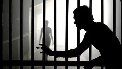 Illustration threw - Image 1