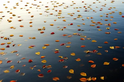 Illustration lot - Image 1