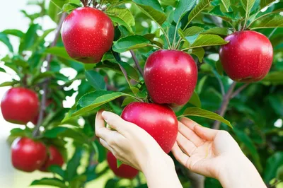 Illustration result - Image 1