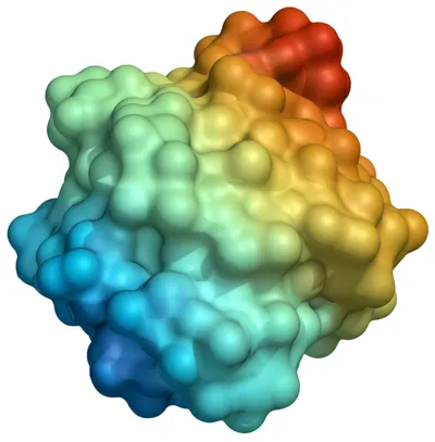 Illustration foot - Image 1