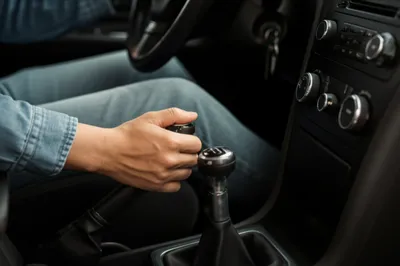 Illustration standards - Image 1