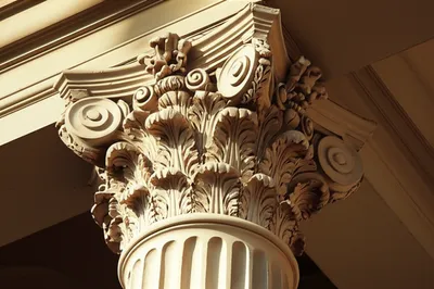 Illustration capital - Image 1