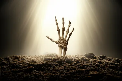 Illustration disinter