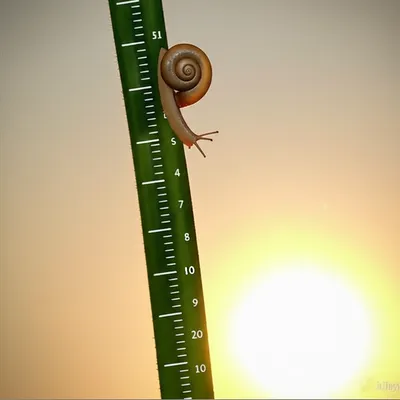 Illustration creeps - Image 1