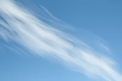 Illustration wracks - Image 1