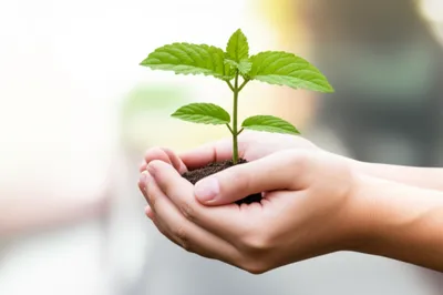 Illustration foster - Image 1