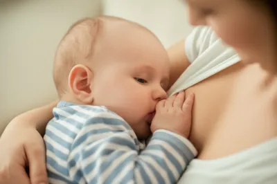 Illustration sook - Image 1