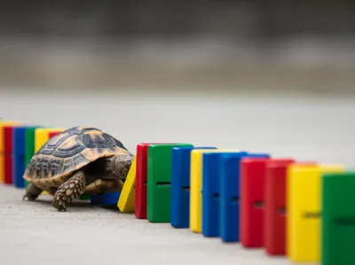 Illustration torts - Image 1