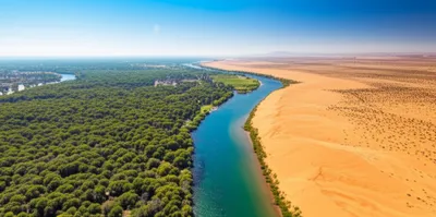 Illustration across - Image 1