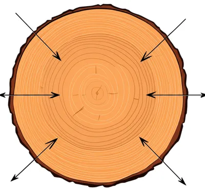 Illustration outside - Image 1