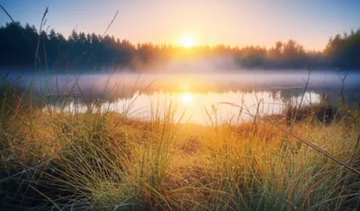 Illustration calmer - Image 1