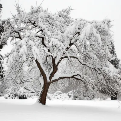 Illustration bends - Image 1