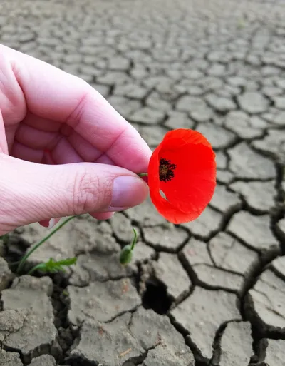 Illustration removing