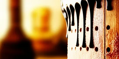 Illustration potted - Image 1