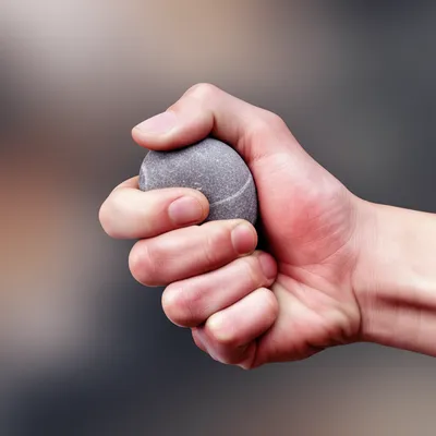 Illustration gripe - Image 1